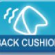 Back Cusion