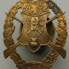 Russian Imperial Silver Badge of the 7th Rifle Regiment, 1908, medal