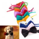 Dog Bow Tie Adjustable Size Collar For Comfort 25-42cm Neck