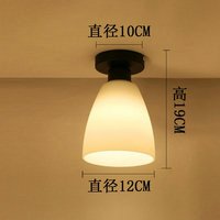Iron simple style  ceiling lamp style 12