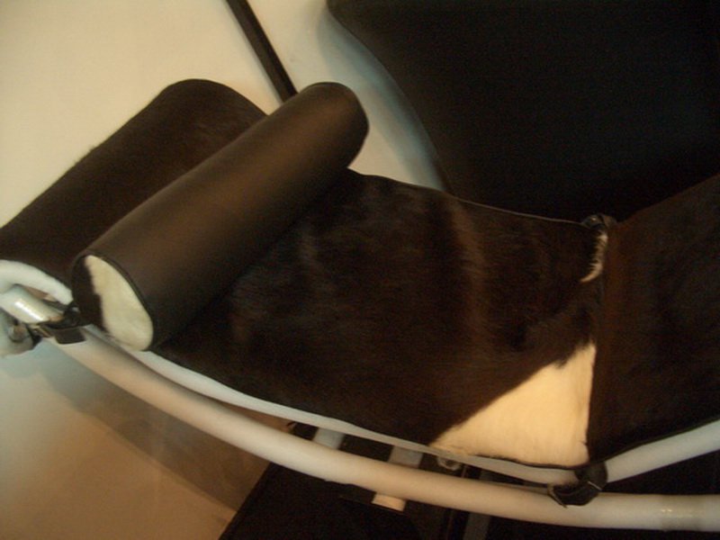 Le Corbusier LC4 Chaise Lounge Chair Cushion and Strap in Cowhide Leather