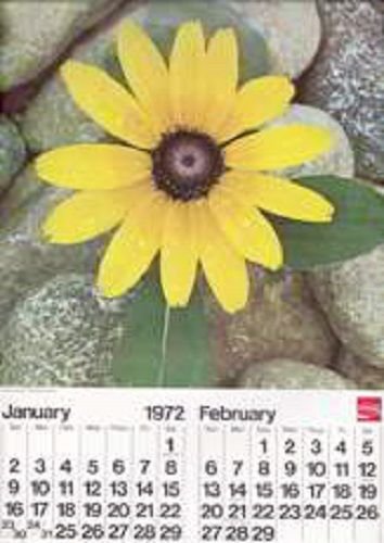 Vintage 1972 Coca-Cola Wall Calendar-RARE ERROR-Missing August,  12-Collectible!