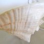 Natural Conch Sea Shell Electric Light Lamp Table Top Shelf Handmade