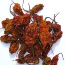 Dried Bhut Jolokia pods with seeds (Naga Jolokia, Ghost Pepper)  50g
