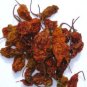 Dried Bhut Jolokia pods with seeds (Naga Jolokia, Ghost Pepper) 50g