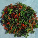 Klip  dagga (Leonotis Nepetifolia) leaves and petals  20g