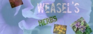 WeaselsHerbs