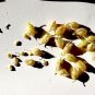Christia vespertilionis - 10 seeds - very rare plant