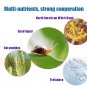 100% Snail Mucus Snail Slime Extract Anti-Wrinkle,Skin Whitening And Moisturizin