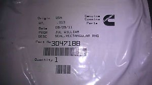 4076823 By Cummins SEAL, RECTANGULAR RING