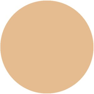 P02 Loose Mineral Foundation
