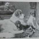 1895 Bound Munsey Mag. Great Ocean Liners, Prince of Wales, James Bennett NY+