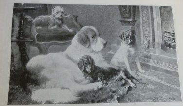 1895 Bound Munsey Mag. Great Ocean Liners, Prince of Wales, James Bennett NY+