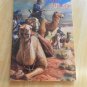 2008 Journal of Arizona History Southwest, Fort Valley, Santa Cruz, San Rafael+