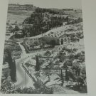 Vintage 1954 The Holy Land Special Permission Photogrpahs Bible history sites+