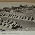 1910 Egypt Ancient Sites and Modern Scenes Vintage Photos Tombs Temples Karnak+