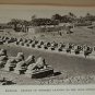 1910 Egypt Ancient Sites and Modern Scenes Vintage Photos Tombs Temples Karnak+