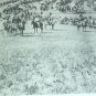 Richard White History American West 90 vintage photos