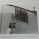 Villages of Hispanic New Mexico Social Life, Customs, Photographs N. Warren