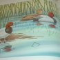 Arizona Wetlands & Waterfowl Ducks, Geese, Swan+