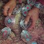 Arizona Highways TURQUOISE BLUE bk Indian Jewelry PICS!