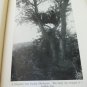 VINTAGE 1934 Smithsonian Native American Indians Vol.4
