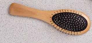 Natural Wood Styling Brush Oval Purse Size (6954)