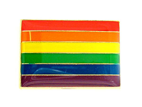 Gay Priide Rainbow Flag  Lapel Pin  (la21)
