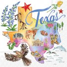 Beverage Cocktail Napkins Roseanne Beck Texas  20ct pkg. 3-ply
