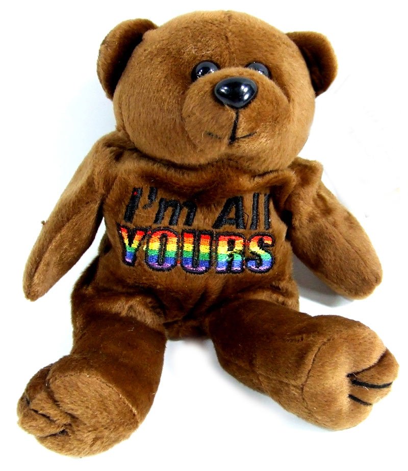 Rainbow I&acirc;��m All Yours Embroidered Bear