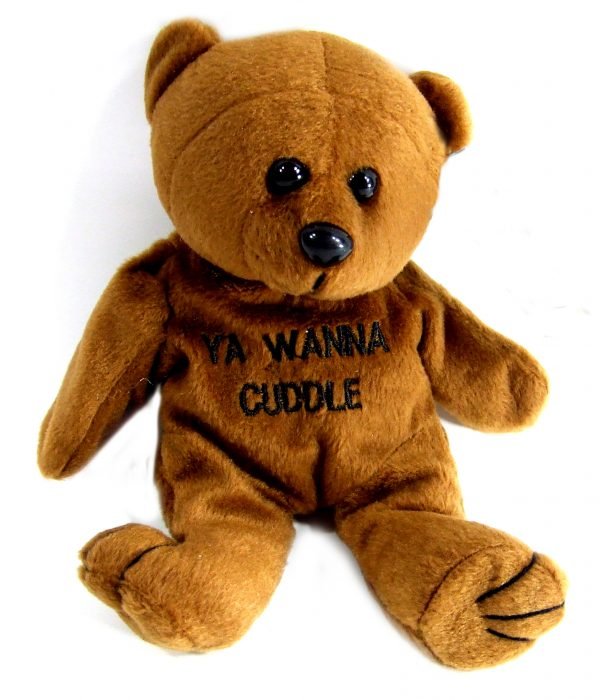 Embroidered  Ya Wanna Cuddle  Plush Bear