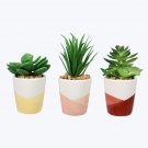 Ceramic Positive Vibe Succulents, 3 Ast Set