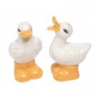 Ducks with Boots Salt & Pepper Shaker Set