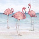 Beverage Cocktail Napkins Flamingo Trio on Beach  20ct.