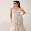 Custom Long Dress for Stunning Women Evening Dresses 2015 Party Gowns plus size