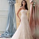 Sexy Long Bride Wedding Dress Backless Champagne Lace A-Line Sweetheart Floor Length Wedding Dress