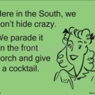Here In The South We Don't Hide Crazy Funny eCard Metal Parking Sign