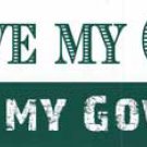 I Love My Country It's the Government I Fear Bumper Sticker
