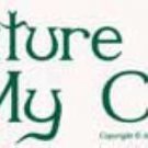 Nature is my Church Bumper Sticker