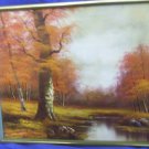 Framed Canvas Art Work