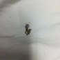 Ralph Lauren Boys Button Up Long Sleeve Shirt Size 7 White