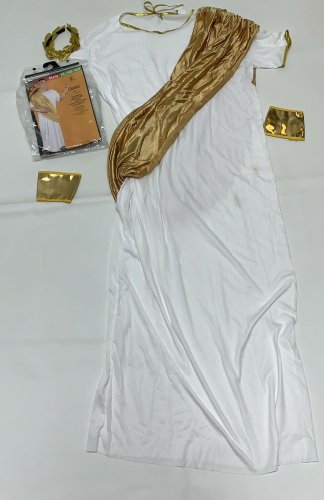 Julius Caesar Mens Roman Robe Sash Halloween Costume Size XL White Gold Toga