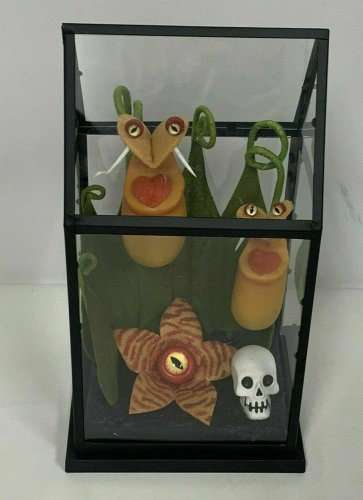 Hyde & Eek Boutique Yellow Creepy Face Halloween Faux Plants Terrarium TARGET