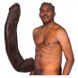 Signature Cocks ULTRASKYN 13.5" Cock w/Removable Vac-U-Lock Suction Cup - Dredd
