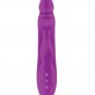 Femme Funn Booster Rabbit Purple Rechargeable Massager