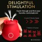 Perfect Rose Air Pulse Clitoral Stimulator Red Rechargeable