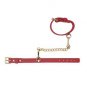 Blush Temptasia Ardor Wrist & Ankle Restraints Red
