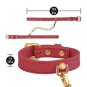 Blush Temptasia Ardor Wrist & Ankle Restraints Red