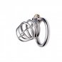 Master Series The Pen Deluxe Stainless Steel Locking Chastity Cage