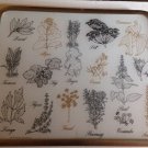 vtg 70s Retro Herbs Vance Surface Saver Countertop Trivet Cutting Board
